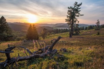 Land view from property