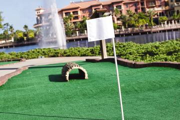 Mini-golf
