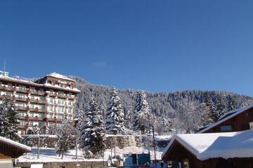 Photo 44