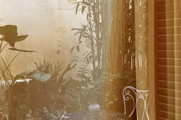 Garden view