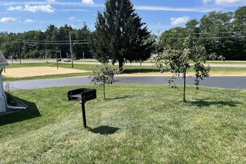 BBQ/picnic area