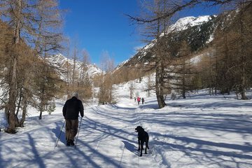 Hiking