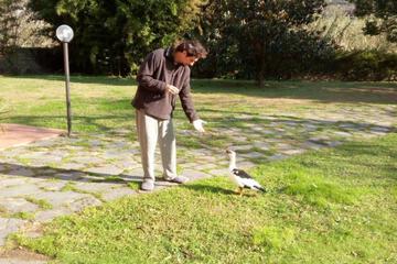 Photo 18
