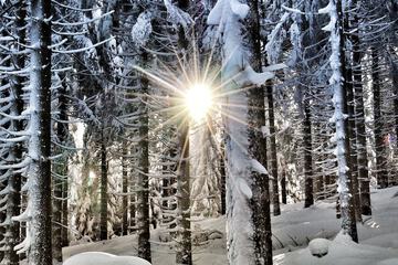 Snowshoeing