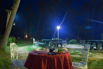 BBQ/picnic area