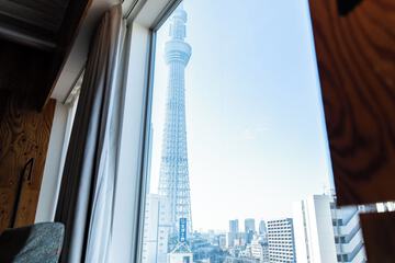 View from room