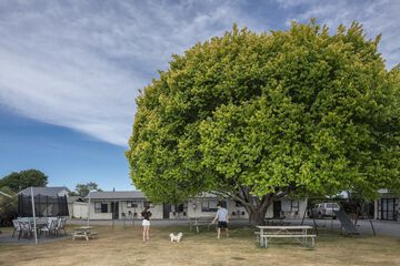 BBQ/picnic area