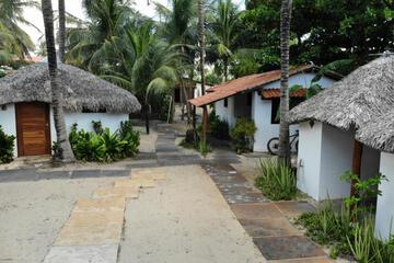 Photo 38