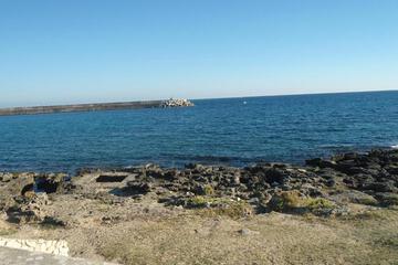 Photo 30