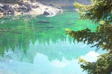 Natural pool