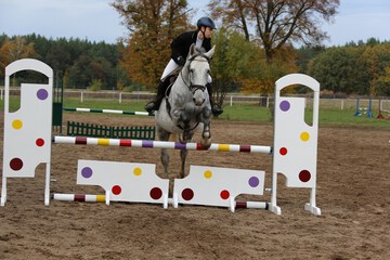Horseback riding