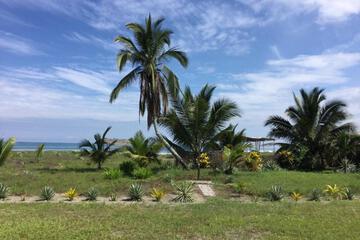 Photo 20