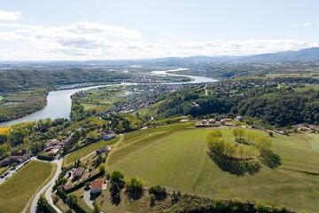 Vineyard