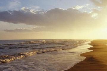 Photo 47