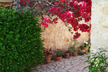 Photo 45