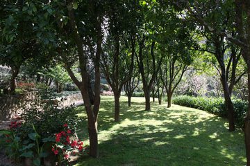 Photo 31