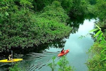 Kayaking