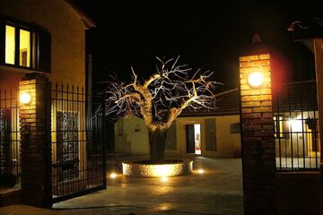 Front of property - evening/night