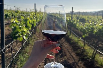 Winery
