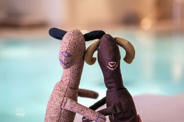 Pet-friendly amenities