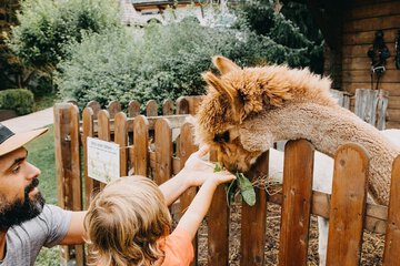 Children's activities