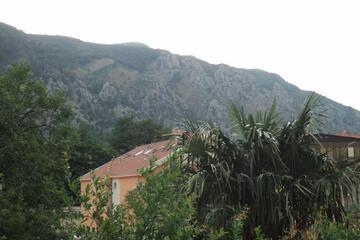 Photo 33