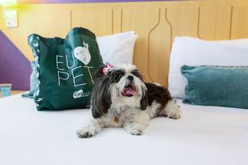 Pet-friendly
