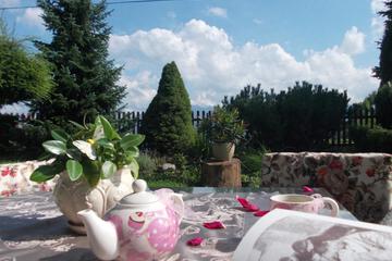 Photo 42