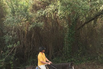 Horseback riding