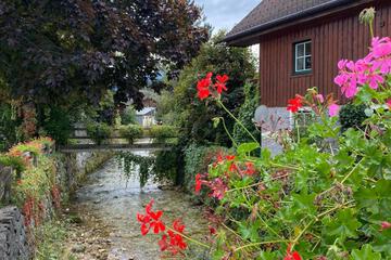 Photo 50