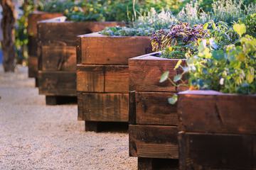 Hotel Exterior 113 of 143