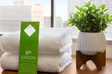 Cleanliness standards