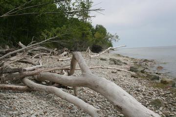 Photo 35