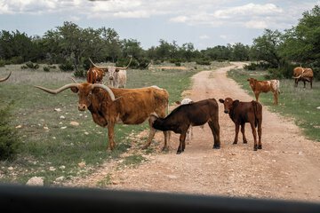 Ecotours