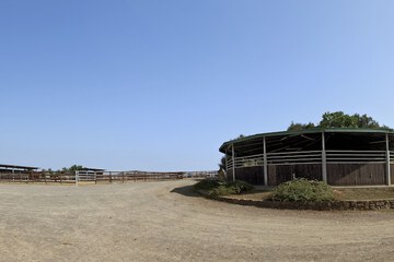 Horseback riding