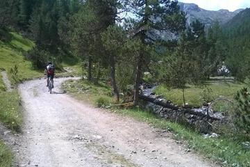 Photo 29