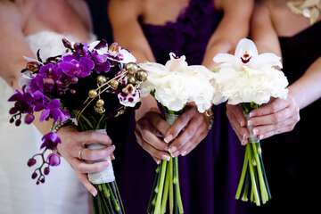 Outdoor wedding area