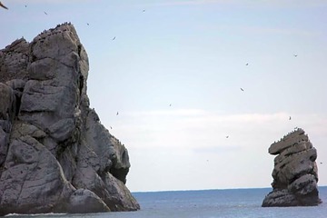 Photo 33