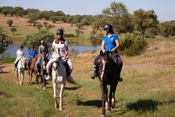 Horseback riding
