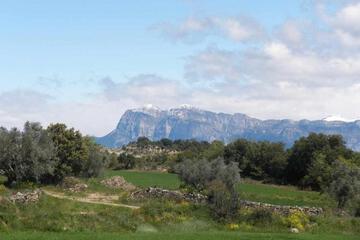 Photo 35
