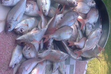 Fishing