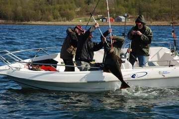Fishing