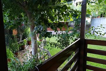 Photo 56