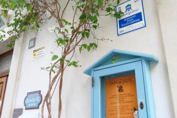 Photo 43