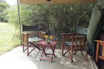 Terrace or Patio
