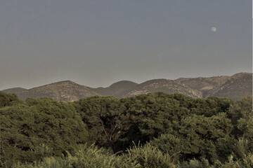 Land view from property