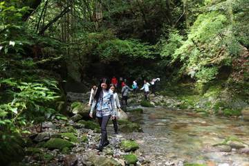 Hiking