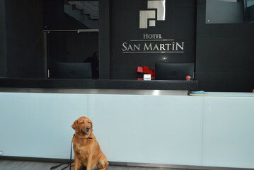 Pet-friendly