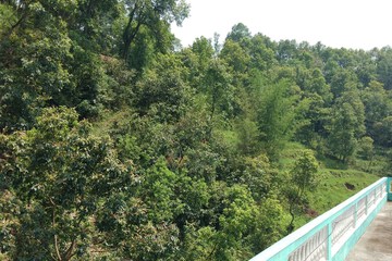 Land view from property