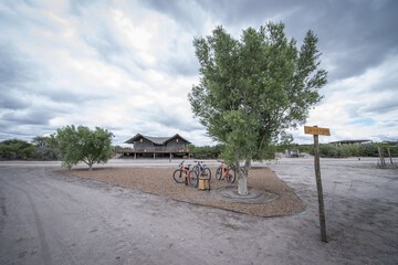 Bicycling